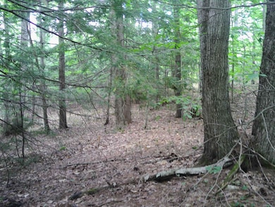 7 Jude Blvd, Ossipee, NH 03864 - photo 7