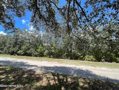 127 Indian Trail, Florahome, FL 32140 - photo 3