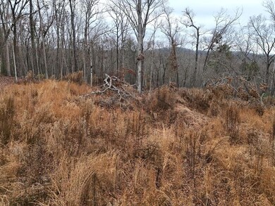 Cleared 1/2 acre for building spot