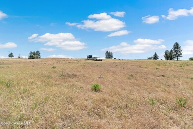 NNA 3rd State Route, Malden, WA 99149 - photo 6