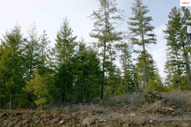 NNK B5 Northern Sky Rd, Athol, ID 83801 - photo 6