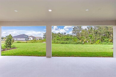 6102 Hidden Branch Dr, Apollo Beach, FL 33572 - photo 7