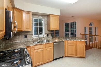 8511 Summershade Dr, Odenton, MD 21113 - photo 6