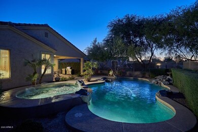 Night Backyard3