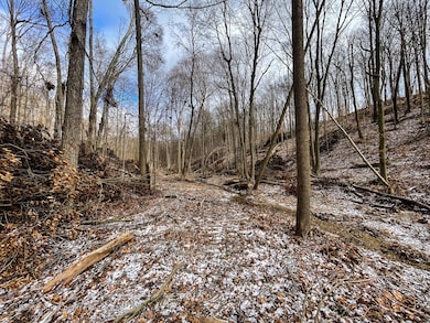 TBD Starr Rd, Jefferson Township, IN 47108 - photo 7