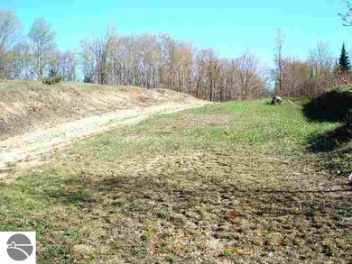 Huffman Lake Rd, Vanderbilt, MI 49795 - photo 6