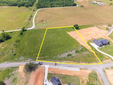 154 Hansma Way, Weatherford, TX 76087 - photo 5