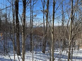 Lot#32 Beech Ridge Ln, West Paris, ME 04289 - photo 3