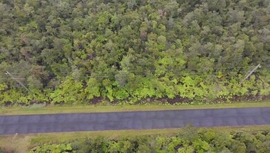 Drone shot of the area.