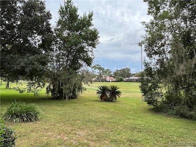 558 E Jenkins Ct, Hernando, FL 34442 - photo 3