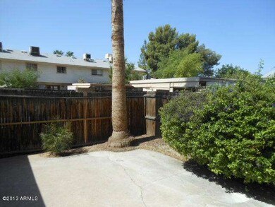 Rear Yard