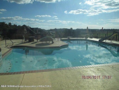 4445 Robertson Gin Rd, Hernando, MS 38632 - photo 6