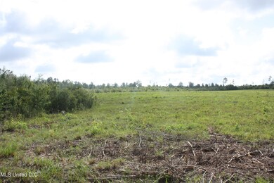 0 Lake Rd, McHenry, MS 39561 - photo 4