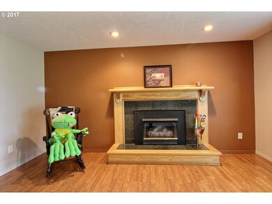 Fireplace Propane