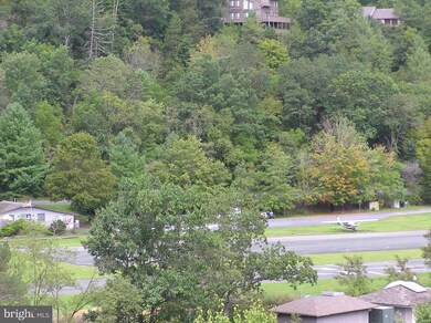 1814 Fairway Dr unit 333 & 334, Basye, VA 22810 - photo 7