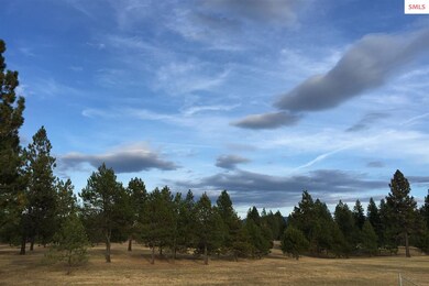 L3 Blk 1 N Williams Ln, Athol, ID 83801 - photo 2