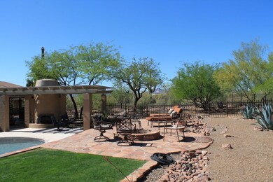 BackYard4