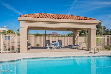 Pool with views