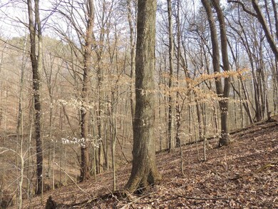 9037 Stage Rd, Logan, OH 43138 - photo 4