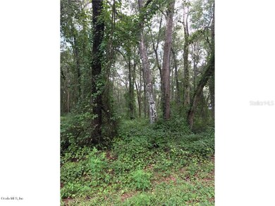 4972 N Dewey Way, Hernando, FL 34442 - photo 5