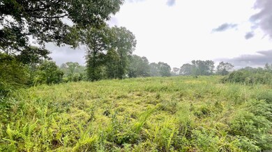 25 S Simon Ln, Conway, AR 72032 - photo 2