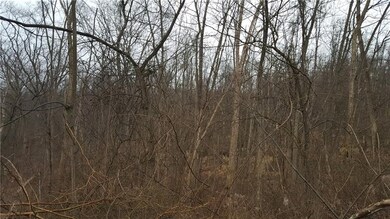 Parcel is wooded and sloped. Perfect location for 
