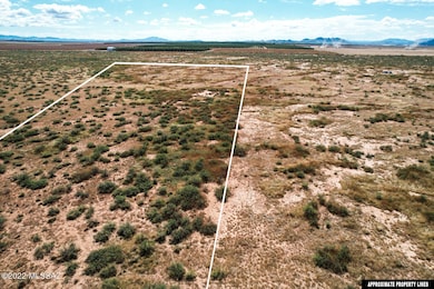 DJI_0150-lines