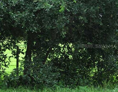 7600 Fort King Rd, Zephyrhills, FL 33541 - photo 7