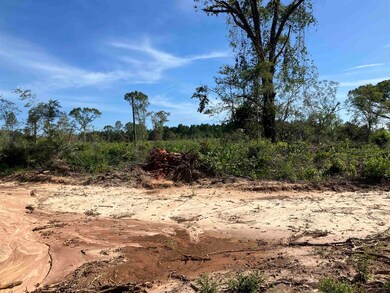 248 ac Bell Crossing Rd, Opp, AL 36467 - photo 6