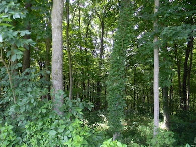 7071 Braysville Rd, Spencer, IN 47460 - photo 7