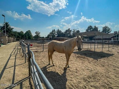 Horse Property