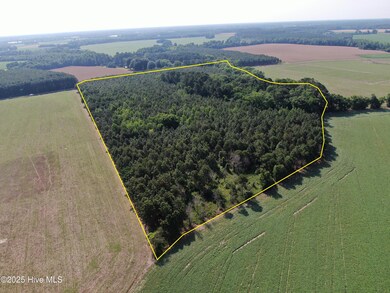 0 Colville St, Rowland, NC 28383 - photo 5