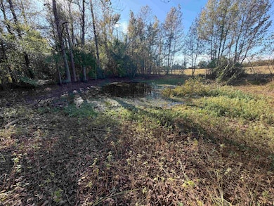 TBD Cr 4316 & 4314, Dekalb, TX 75559 - photo 4