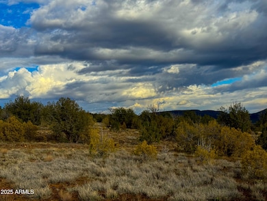 0 W Big Moon Ln Lot A -- unit 6881317, Ash Fork, AZ 86320 - photo 3