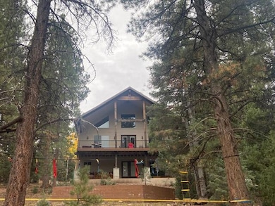 beaver cabin bq pit and back of house