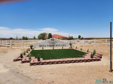 Lot 5B N Tagwood Ln, Carlsbad, NM 88220 - photo 3