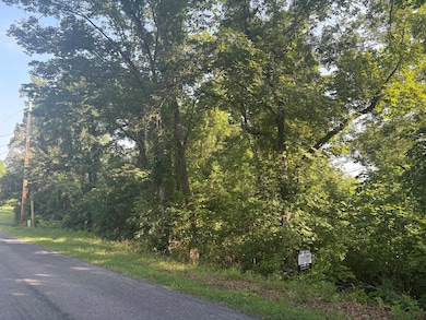 0 Oak Ridge Rd unit 919427, Buchanan, VA 24066 - photo 4