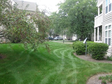 REAR YARD