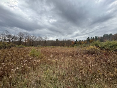 0 Pennsylvania 267, Choconut Township, PA 18818 - photo 5