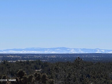 004B N7411, St. Johns, AZ 85936 - photo 5