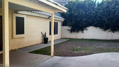 Backyard02