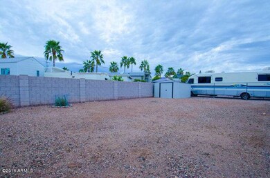 aj back yard