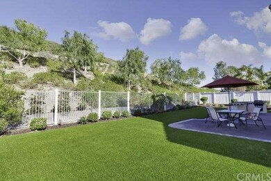 Synthetic turf front and back keeps the water bill