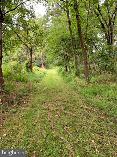 0 Purcellville Rd unit VALO423762, Purcellville, VA 20132 - photo 3