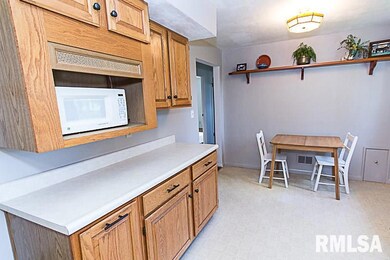 10610 W Farmington Rd, Hanna City, IL 61536 - photo 7