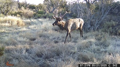 000 Tba Rd, Quemado, NM 87829 - photo 4