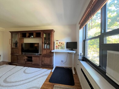 Windsor Park unit 4 G, Oakland Gardens, NY 11364 - photo 3