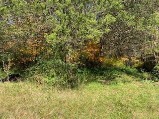 2212 U S 41a, Shelbyville, TN 37160 - photo 6