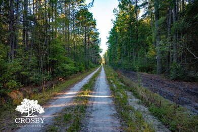 Tbd Lemon Rd, Walterboro, SC 29488 - photo 4