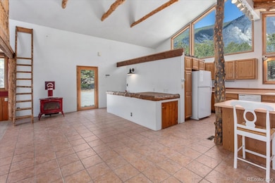 16715 Shadow Ln, Nathrop, CO 81236 - photo 4